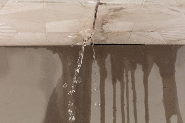 Professional Structural Drying technician working in Mills River, NC